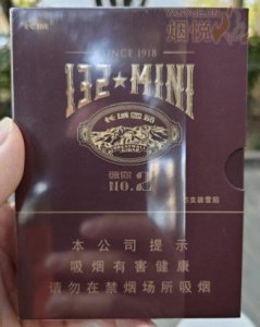 长城(132迷你2号)国际快递到斯洛伐克(布拉迪斯拉发)